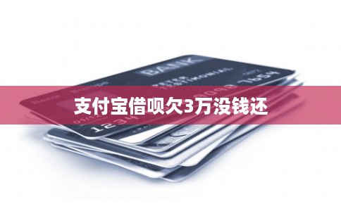 支付宝借呗欠3万没钱还
