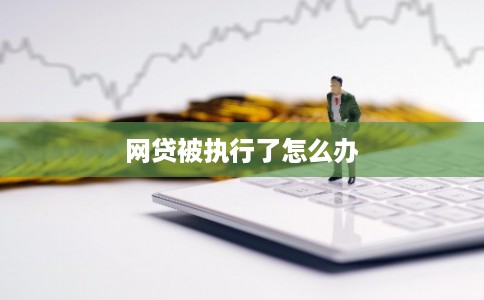 网贷被执行了怎么办