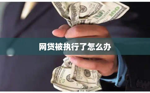 网贷被执行了怎么办