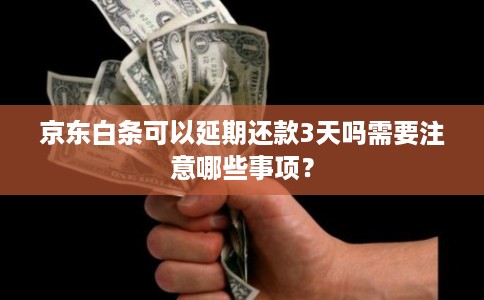 京东白条可以延期还款3天吗需要注意哪些事项？