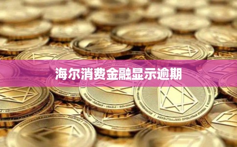 海尔消费金融显示逾期