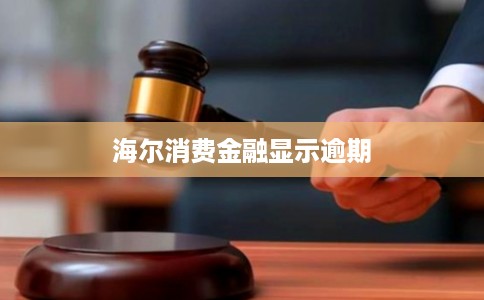 海尔消费金融显示逾期