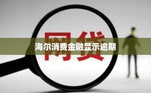 海尔消费金融显示逾期