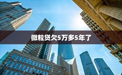 微粒贷欠5万多5年了