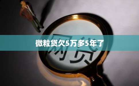 微粒贷欠5万多5年了