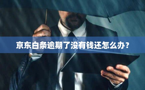 京东白条逾期了没有钱还怎么办？
