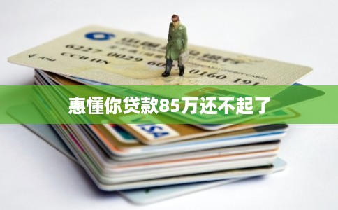 惠懂你贷款85万还不起了