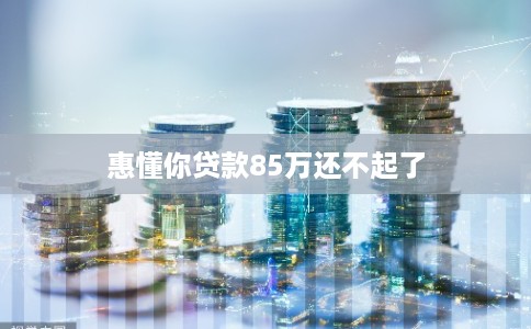 惠懂你贷款85万还不起了