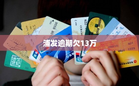 浦发逾期欠13万