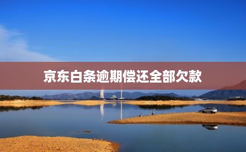 京东白条逾期偿还全部欠款