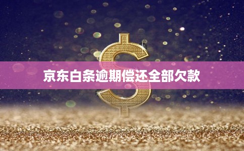 京东白条逾期偿还全部欠款