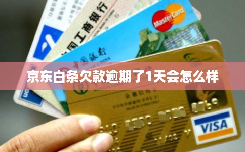 京东白条欠款逾期了1天会怎么样
