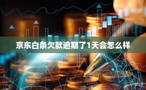 京东白条欠款逾期了1天会怎么样