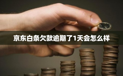 京东白条欠款逾期了1天会怎么样
