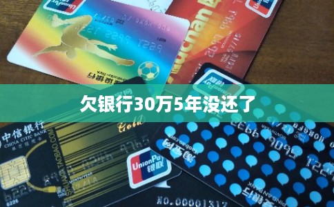 欠银行30万5年没还了