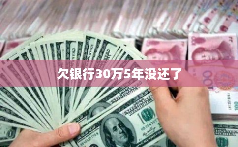 欠银行30万5年没还了
