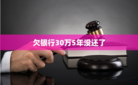 欠银行30万5年没还了