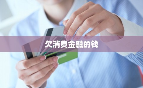 欠消费金融的钱