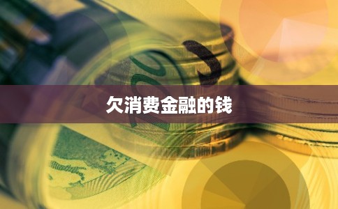 欠消费金融的钱