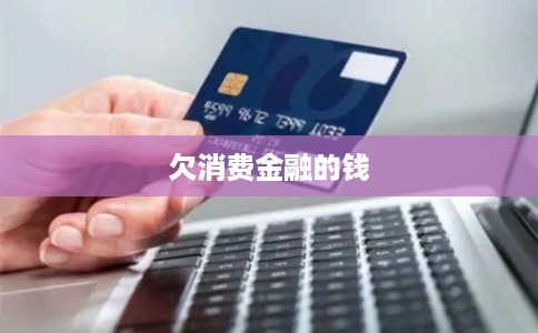 欠消费金融的钱