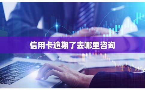 信用卡逾期了去哪里咨询