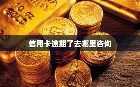 信用卡逾期了去哪里咨询