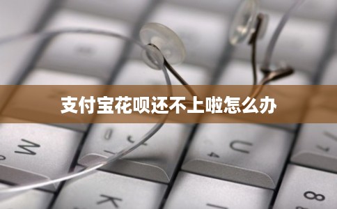 支付宝花呗还不上啦怎么办
