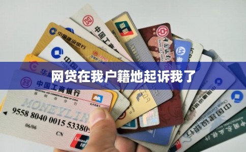 网贷在我户籍地起诉我了