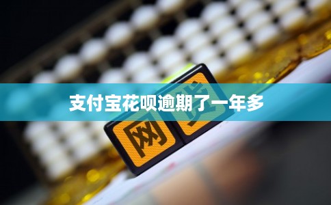 支付宝花呗逾期了一年多