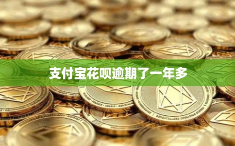 支付宝花呗逾期了一年多