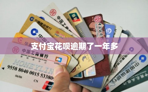 支付宝花呗逾期了一年多