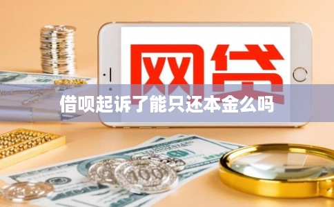 借呗起诉了能只还本金么吗