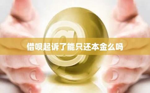 借呗起诉了能只还本金么吗