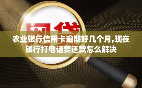 农业银行信用卡逾期好几个月,现在银行打电话要还款怎么解决