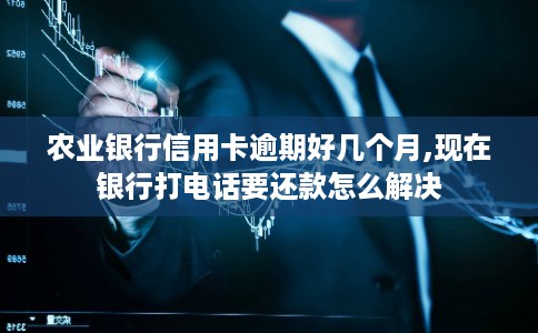 农业银行信用卡逾期好几个月,现在银行打电话要还款怎么解决