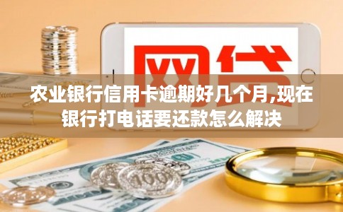 农业银行信用卡逾期好几个月,现在银行打电话要还款怎么解决