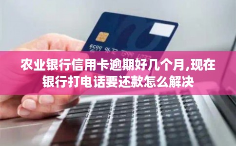 农业银行信用卡逾期好几个月,现在银行打电话要还款怎么解决