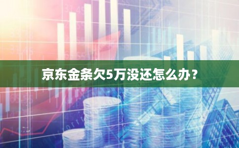 京东金条欠5万没还怎么办？