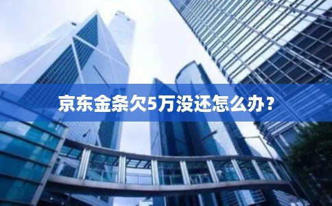 京东金条欠5万没还怎么办？