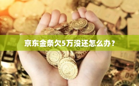 京东金条欠5万没还怎么办？