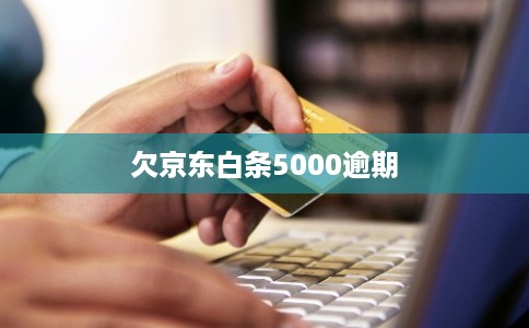 欠京东白条5000逾期