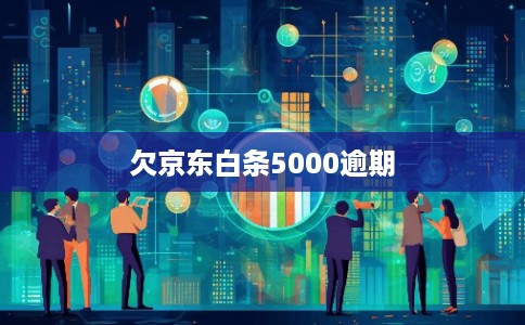 欠京东白条5000逾期