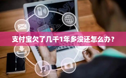 支付宝欠了几千1年多没还怎么办？