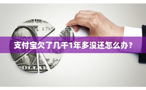 支付宝欠了几千1年多没还怎么办？