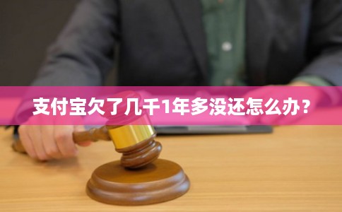 支付宝欠了几千1年多没还怎么办？