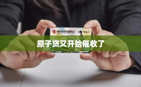 原子贷又开始催收了