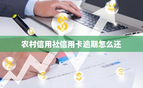 农村信用社信用卡逾期怎么还