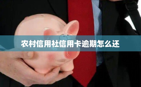 农村信用社信用卡逾期怎么还