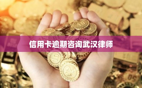 信用卡逾期咨询武汉律师