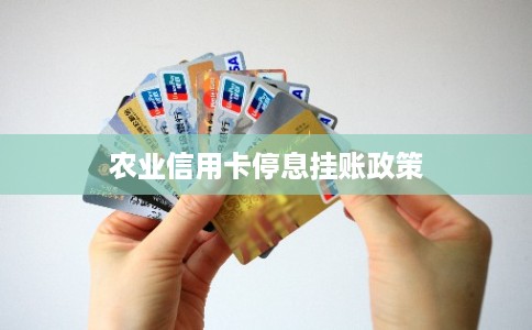 农业信用卡停息挂账政策